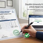 Ziauddin Board Marksheet Verification